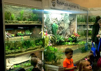 Thrive 3D Aquarium at the Aquatic Experience Tradeshow 2014 