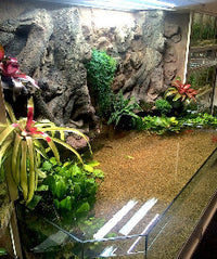 Thrive 3D Aquarium at the Aquatic Experience Tradeshow 2014 