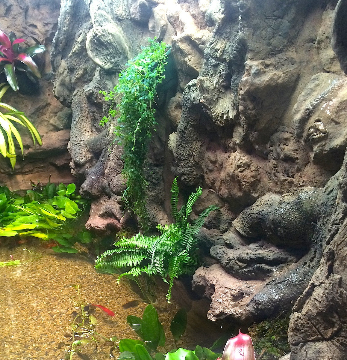 Thrive 3D Aquarium at the Aquatic Experience Tradeshow 2014 