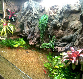 Thrive 3D Aquarium at the Aquatic Experience Tradeshow 2014 