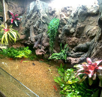 Thrive 3D Aquarium at the Aquatic Experience Tradeshow 2014 