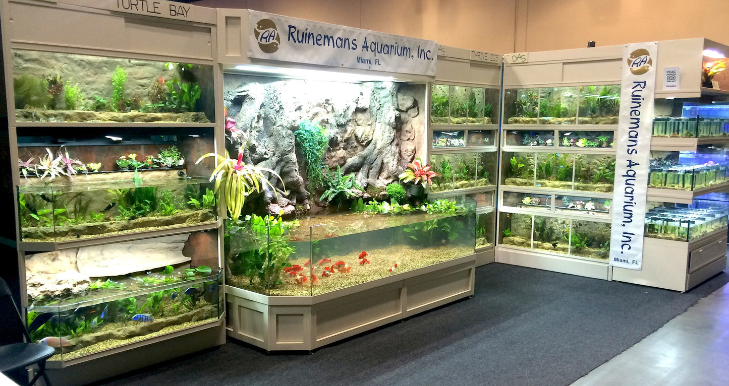 Thrive 3D Aquarium at the Aquatic Experience Tradeshow 2014 