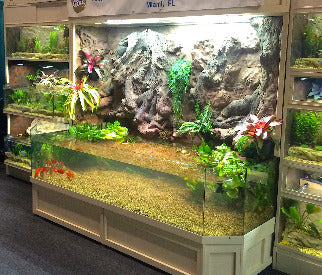 Thrive 3D Aquarium at the Aquatic Experience Tradeshow 2014 