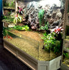 Thrive 3D Aquarium at the Aquatic Experience Tradeshow 2014 