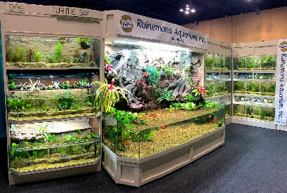 Thrive 3D Aquarium at the Aquatic Experience Tradeshow 2014 