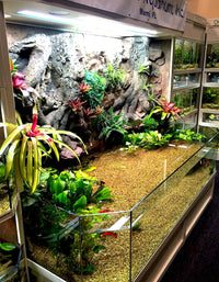 Thrive 3D Aquarium at the Aquatic Experience Tradeshow 2014 
