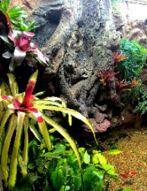 Thrive 3D Aquarium at the Aquatic Experience Tradeshow 2014 
