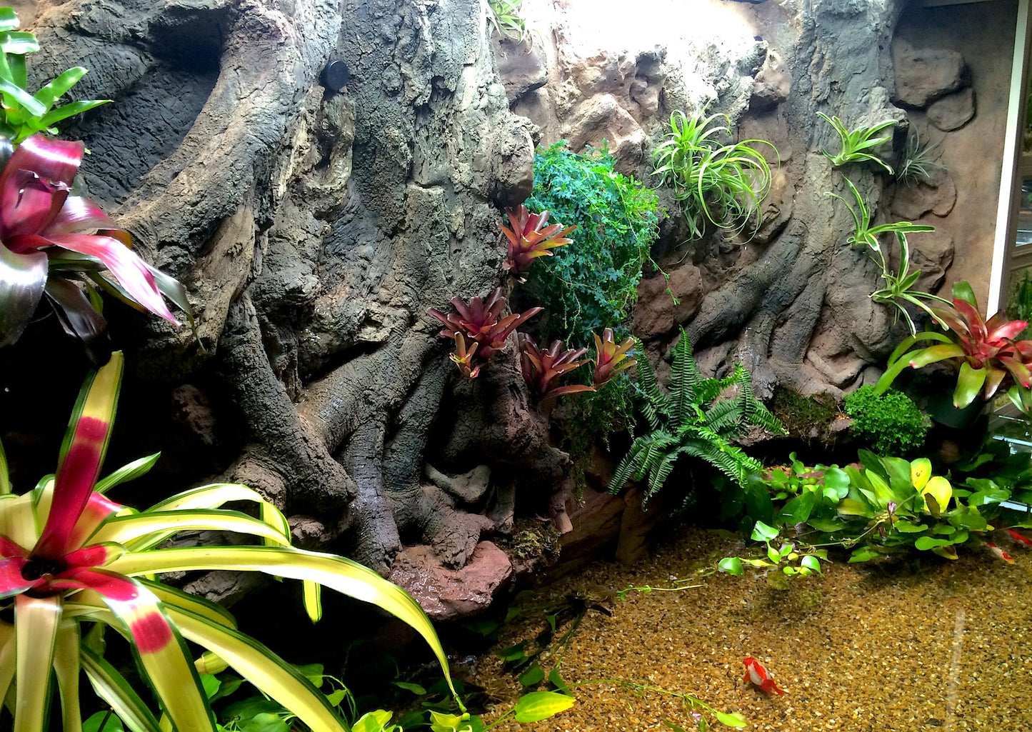 Thrive 3D Aquarium at the Aquatic Experience Tradeshow 2014 
