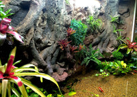 Thrive 3D Aquarium at the Aquatic Experience Tradeshow 2014 