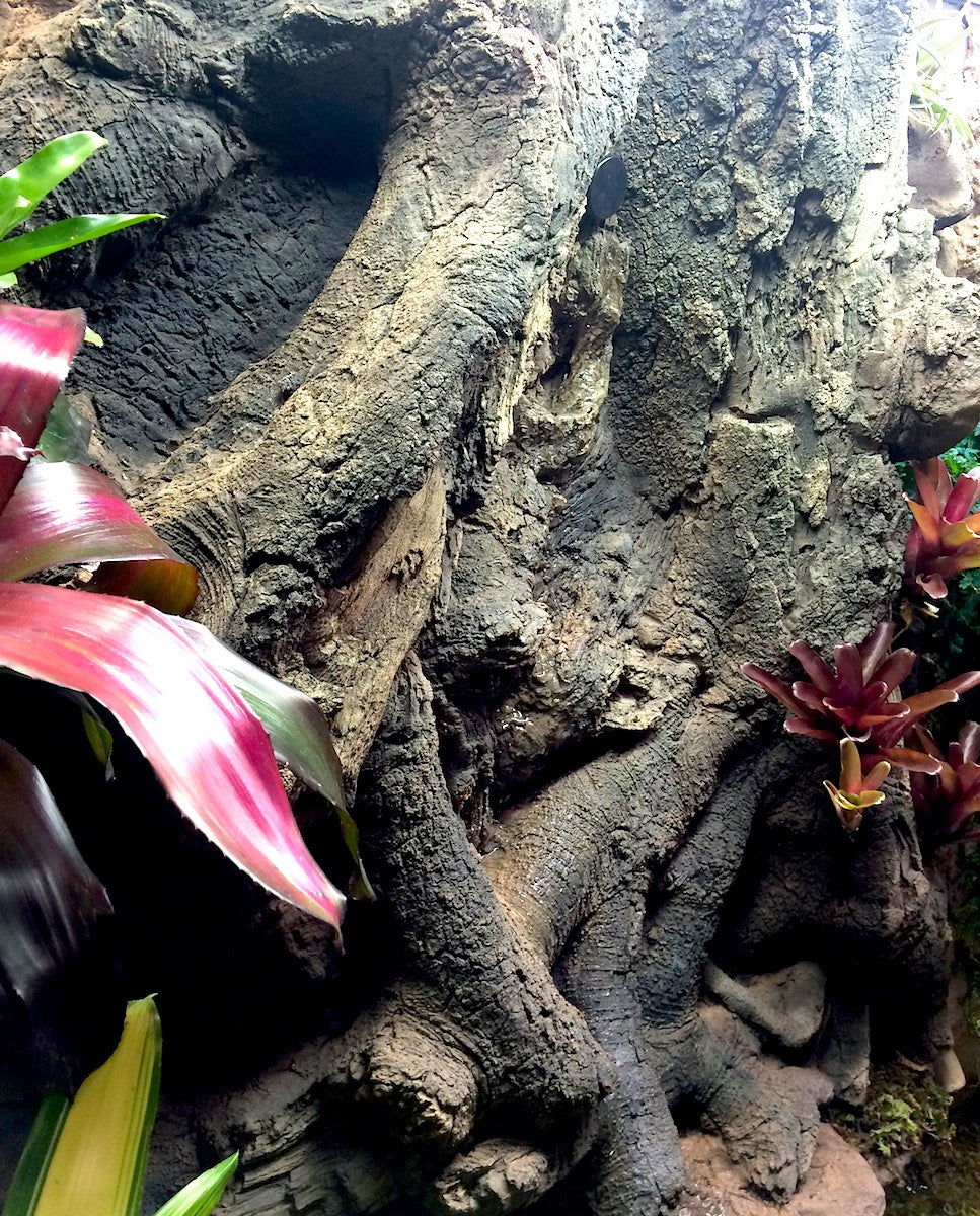 Thrive 3D Aquarium at the Aquatic Experience Tradeshow 2014 