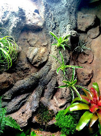 Thrive 3D Aquarium at the Aquatic Experience Tradeshow 2014 