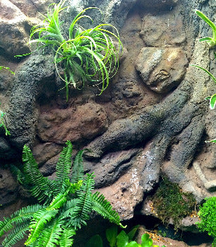 Thrive 3D Aquarium at the Aquatic Experience Tradeshow 2014 