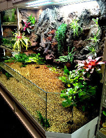 Thrive 3D Aquarium at the Aquatic Experience Tradeshow 2014 