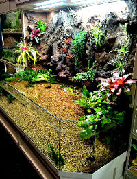 Thrive 3D Aquarium at the Aquatic Experience Tradeshow 2014 