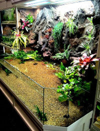 Thrive 3D Aquarium with Artificial Background with Waterfalls