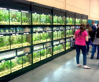 THRIVE Freshwater Fish Care Racks