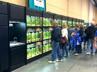 THRIVE Freshwater Fish Care Racks