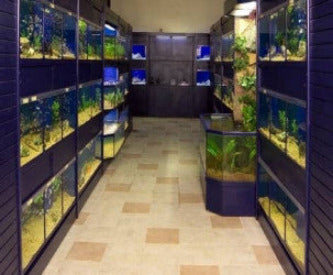 Freshwater Fish Enclosures Commercial Retail Rack Display